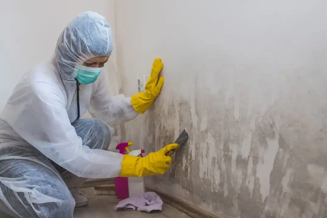 water damage restoration service Davyn Ridge